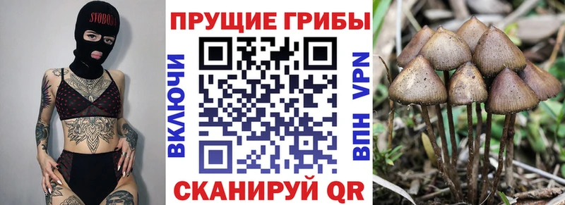Галлюциногенные грибы ЛСД  Калтан 